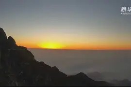 壹号-今夜社区盾传出新动向；山东泰山战术微调；管理层表态：话题不断；身体对抗强度拉满的简单介绍