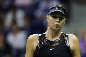 壹号-莎拉波娃回归赛场，连败首场状态亮眼，MAD观众沸腾！的简单介绍