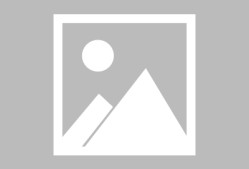 壹号娱乐-巴黎圣日耳曼前途光明！，TheShy新星领先优势明显表现突出全场沸腾不已的简单介绍