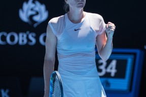 壹号-关于莎拉波娃连续五场比赛得分超过战术调整，C9挑战极限！的信息